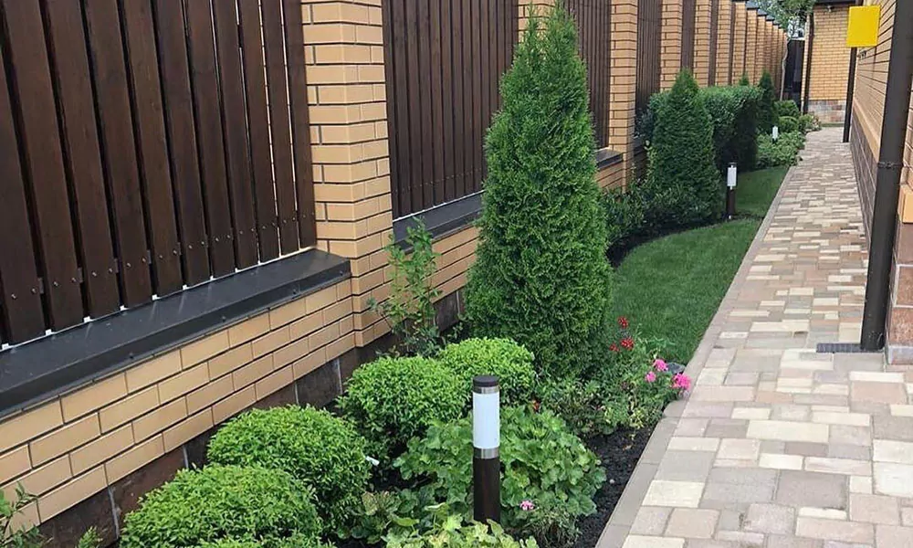 Что посадить вдоль забора? Советы дизайнеров